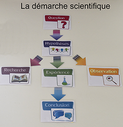 Démarche scientique