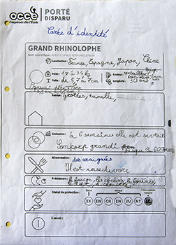 carte d'identité