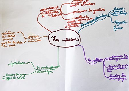 carte mentale