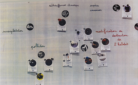 crime board